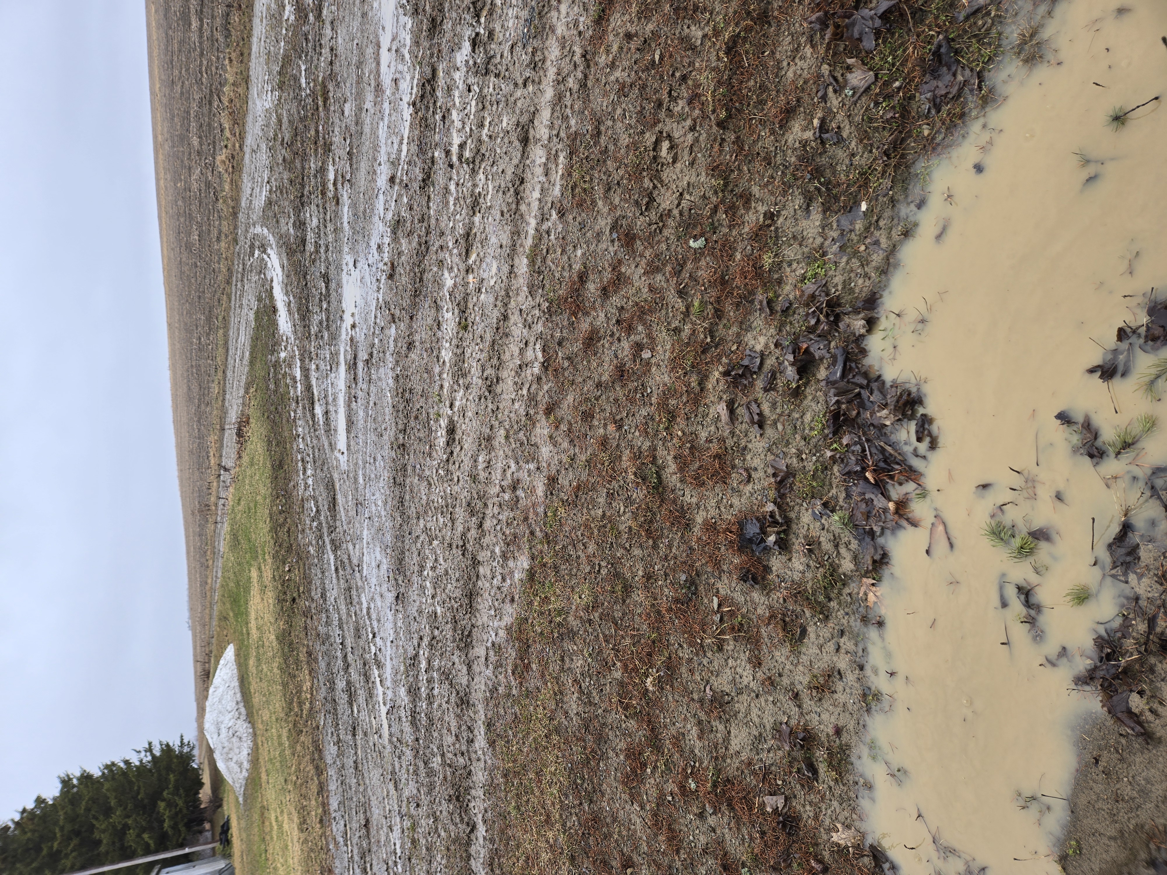 Agricultural runoff into a waterway