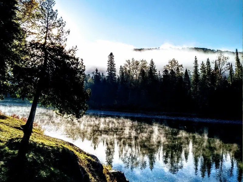 Section ombragée de la rivière Restigouche